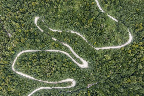 Aerial view of a winding road (Carretera Austral) through dense forest, south of Puyuhuapi, Aysén
