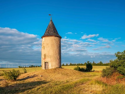 The Barkhäuser Tower in morning light, medieval tower, watch tower of the Erfurt city