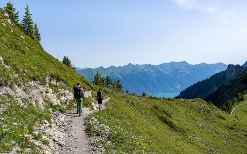 Hikers on a hiking trail on the Schynige Platte, picturesque mountain landscape, Bernese Alps,