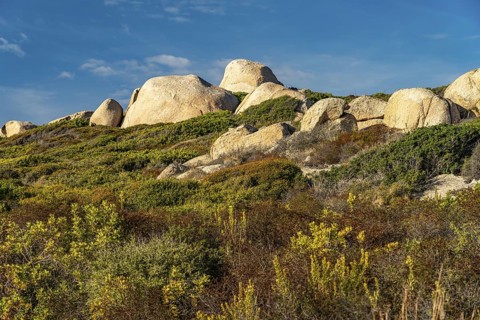 Rocks and scrub in the countryside at Punta di Spanu, Lumio, Corsica, France