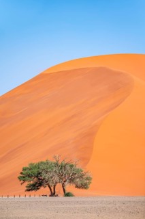 Dune 45, dune, sand dune, Sossusvlei, Namib Desert, Namib-Naukluft National Park, Namibia