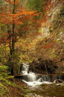 The Hausbachklamm gorge in autumn. The Hausbach with a waterfall and trees in autumn leaves. Long