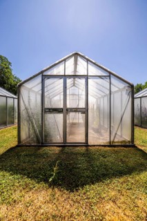 Mini greenhouses at the Leibniz Institute of Plant Genetics and Crop Plant Research IPK