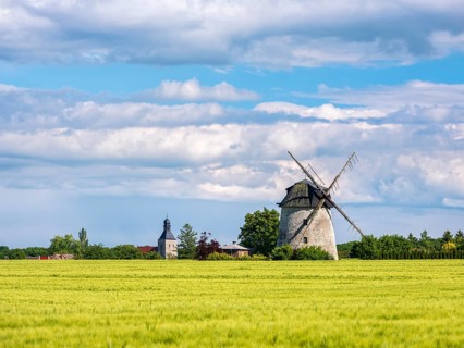 View over a green barley field to the tower windmill and the church tower of the small village of