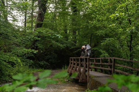 A mother with her baby in a carrier stands on a rustic wooden bridge surrounded by lush forest