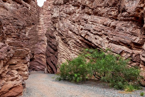 Deep rocky gorge with barren vegetation in earthy tones. Impression of a rough desert landscape,