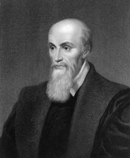 Michel de l'Hôpital or l'Hospital, 1507-1573, a French statesman