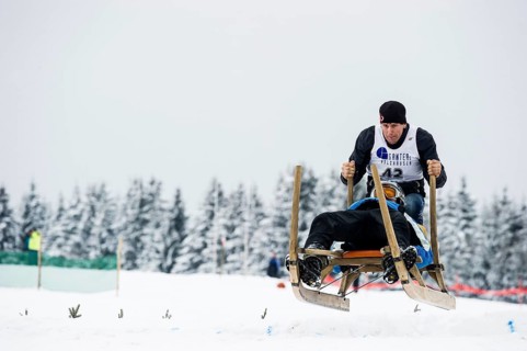 Horn sled racing, Waldau, Black Forest, Baden-Württemberg, Germany