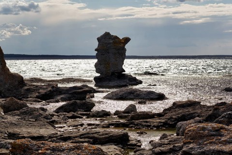 Characteristic limestone column, Raukar in backlight, coastline, Gamla Hamn Nature Reserve, Fårö