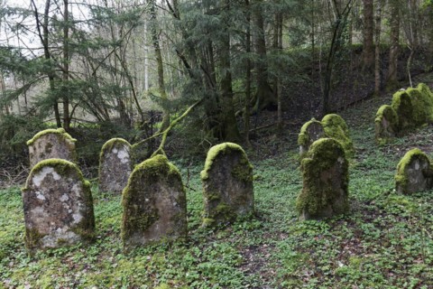 Jewish cemetery from the 18th century, weathered gravestones, Sulzburg, Markgräflerland, Upper