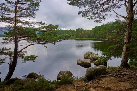 A quiet forest lake with rocks, framed by trees under a grey sky, Loch Garden, Nethy Bridge,