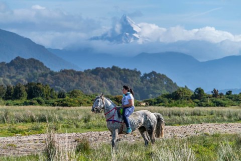 Rider on her horse at a gaucho horse race, Corcovado volcano in the background, Chaiten village,