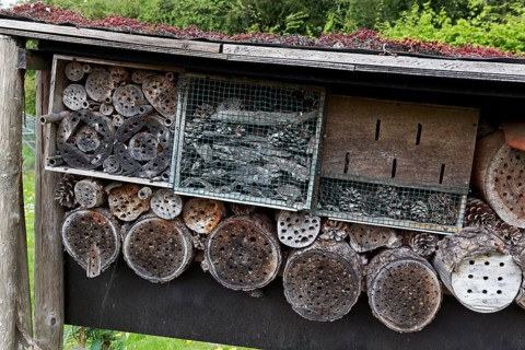 Insect hotel, Bergen, province of North Holland, Netherlands
