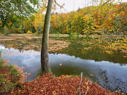 Egelsee in autumn-colored surroundings, Bergdietikon, Canton of Aargau, Switzerland