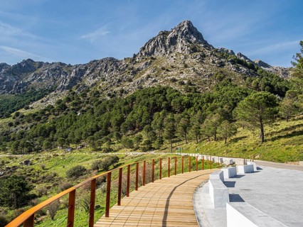 Mountain road, Sierra de Grazalema, Andalusia, Spain