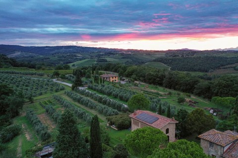 Aerial view of the typical hilly landscape of Tuscany at sunset with individual houses and olive