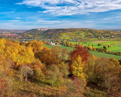 View of trees in full autumn colors into the Unstrut Valley, Neuenburg Castle in the back,