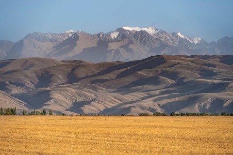 Field in front of barren erosion landscape and high mountains, Kyrgyzstan