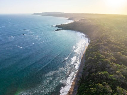 Aerial view, rainforest, sandy beach and coast with waves, Playa Cocalito, Puntarenas, Costa Rica