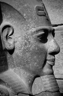 Stone Pharaonic Head in black and white Pharaonic inscriptions at the ancient Egyptian ruins beside