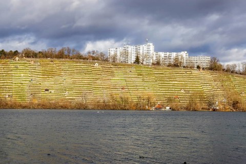Max-Eyth-See in winter, vineyards and housing estate in the Freiberg district. Stuttgart,