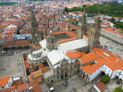 The aerial view shows a cathedral and red roofs in a city with historic buildings and green areas,