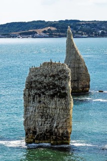 White Cliffs of Old Harry Rocks Jurassic Coast, Handfast Point, Dorset, UK