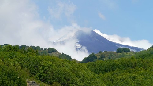 The volcano Etna in the background with a green forest in the foreground under a blue sky, Sicily,