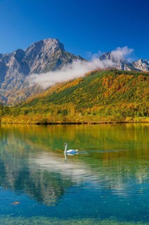 Lake Almsee in autumn with a forest reflected in the lake. A slowly dissipating fog moves over the