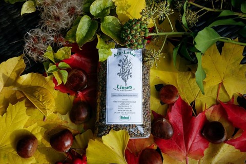 Alb-Leisa, legumes, organic land, label, healthy, autumn leaves, chestnuts, food intake, organic