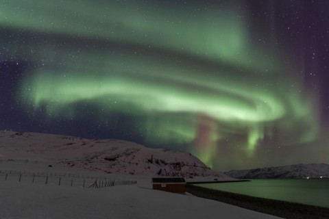 Green and violet northern lights over a red house on the coast, aurora borealis, winter, snow,