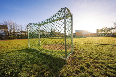 Sports field with soccer goal on a sunny spring morning, Schlehengäuschule, Gechingen, Hecken and