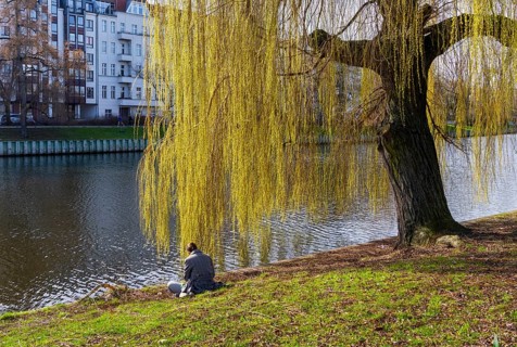 A woman relaxing under a weeping willow, Berlin, Germany