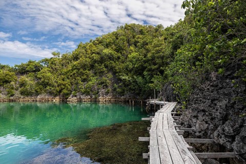 A serene scene of a wooden walkway beside crystal clear waters, nestled among lush green islands of