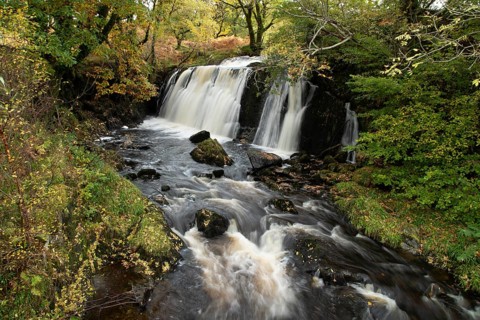 Waterfall in a woodland with autumn colour leaves in the landscape, Scotland, United Kingdom