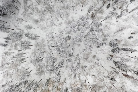 Aerial view of a snow-covered coniferous forest near Oederan, Saxony, Germany