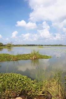 Debara Wewa Reservoir, Tissamaharama, Southern Province, Sri Lanka