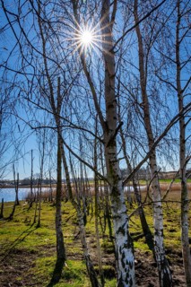 Landscape at Lake Neuensien on the island of Rügen, Mecklenburg-Western Pomerania, Germany