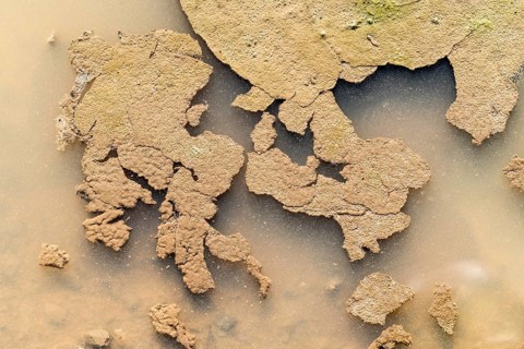 Puddle, looks like a map of Europe