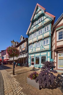 Half-timbered houses, flower pots, cabbage (Brassica), lantern, general architecture, Galerie Am