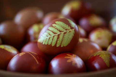 Easter eggs traditionally colored with onion skins, tights and small plants, ferns and flowers in a