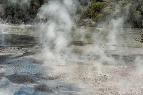 Hot bubbling mud pool, Waiotapu Thermal Park, Waiotapu, Rotorua, Bay of Plenty, North Island, New