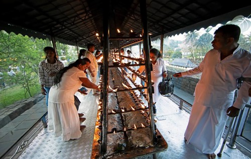 Sri Lankan pilgrims pour oil into candle holders at the Buddhist Temple of the Tooth or Sri Dalada