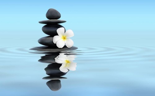 Zen spa concept panoramic banner image, Zen massage stones with frangipani plumeria flower in water