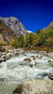 A fast-flowing river with surrounding rocks and colorful autumn trees against a backdrop of