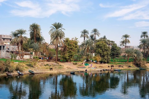Houses and palm trees on the banks of the Nile near Luxor, Egypt