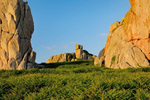 Large boulders in the evening light surrounded by ferns on the Pink Granite Coast in Brittany, Pors