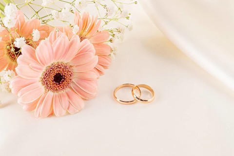 Elegant wedding rings rest beside soft pink daisies and delicate white flowers, creating a romantic