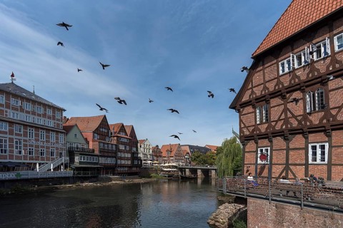 Historic half-timbered houses on the former harbour of the Ilmenau, Lüneburg, Lower Saxony, Germany