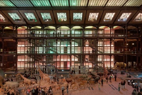 Grande Galerie de l'Evolution, Musée National d'Historie Naturell, National Museum of Natural